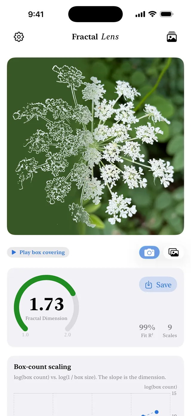 Fractal Lens screenshot 1