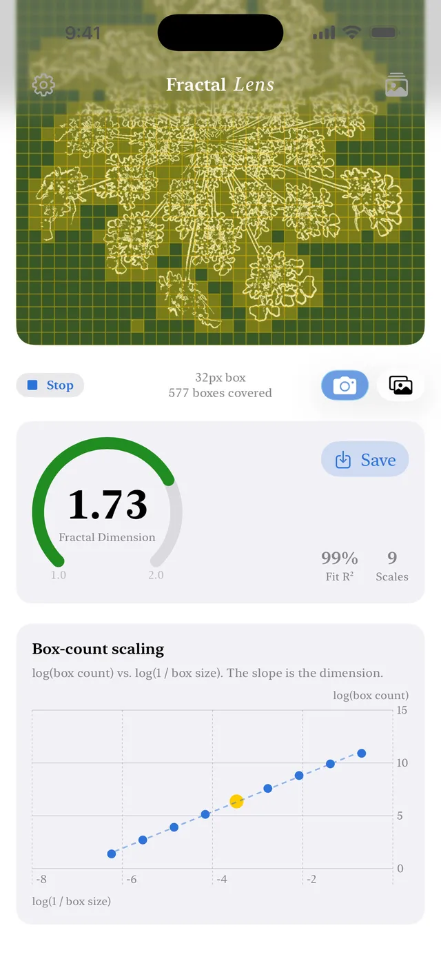 Fractal Lens screenshot 2